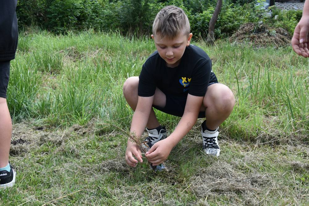 Zielono mi... EkoWakacje z Domem Kultury 2025